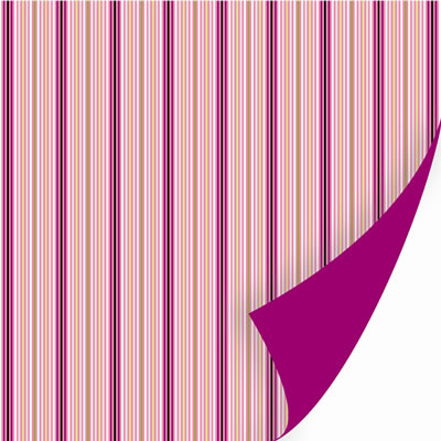 SEI - Kittys Place - Kitty Whiskers 12x12 d/sided paper  (pack of 10)